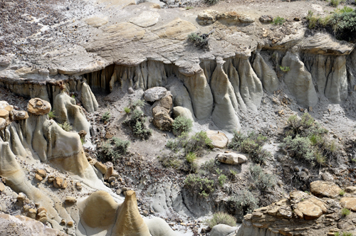 Montana's Makoshika State Park